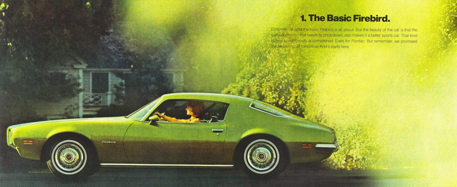 n_1970 Pontiac Firebird-04-05.jpg